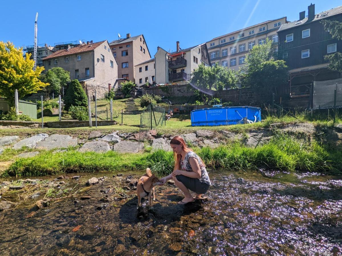 Famzi - Urlaubsmagie - Familienwohnung Mit Gemeinschaftsgarten, -Sauna & -Pool Sebnitz Eksteriør billede