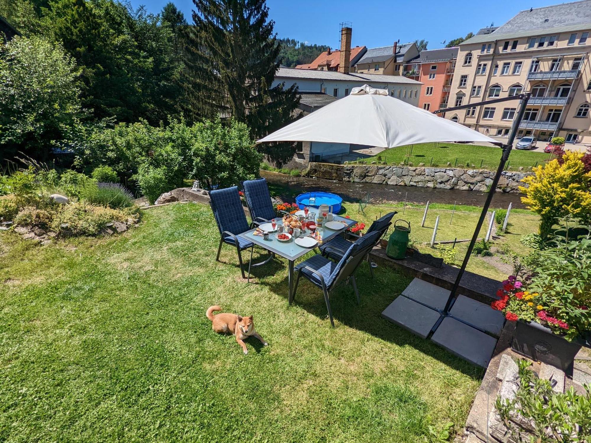 Famzi - Urlaubsmagie - Familienwohnung Mit Gemeinschaftsgarten, -Sauna & -Pool Sebnitz Eksteriør billede