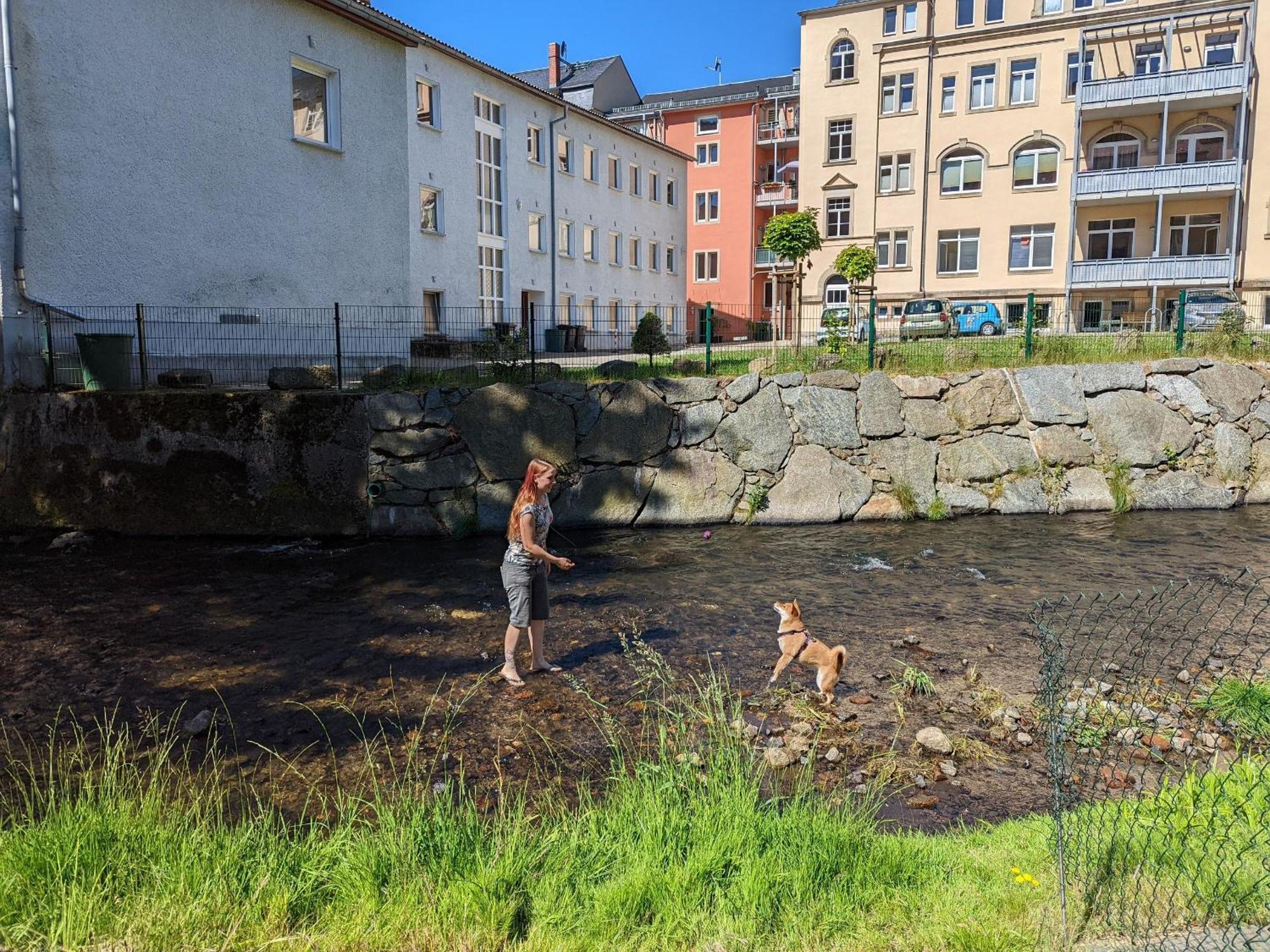 Famzi - Urlaubsmagie - Familienwohnung Mit Gemeinschaftsgarten, -Sauna & -Pool Sebnitz Eksteriør billede